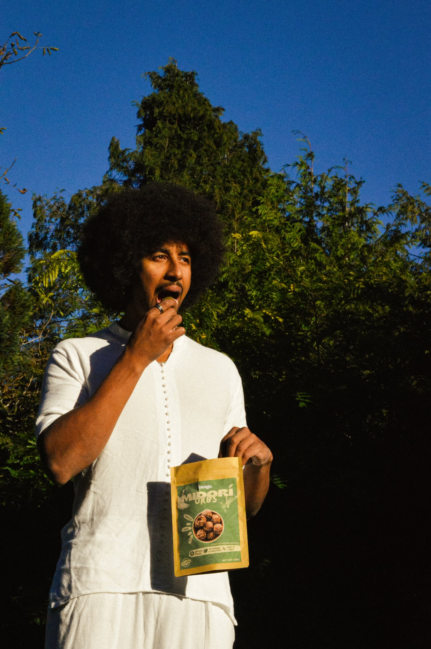 The Midori Orbs - Orbital Pack (5 Bags)